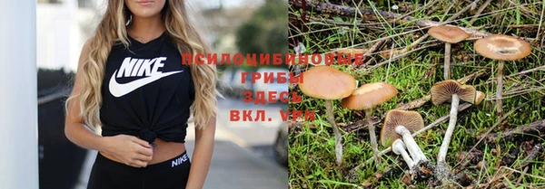 марихуана Абаза